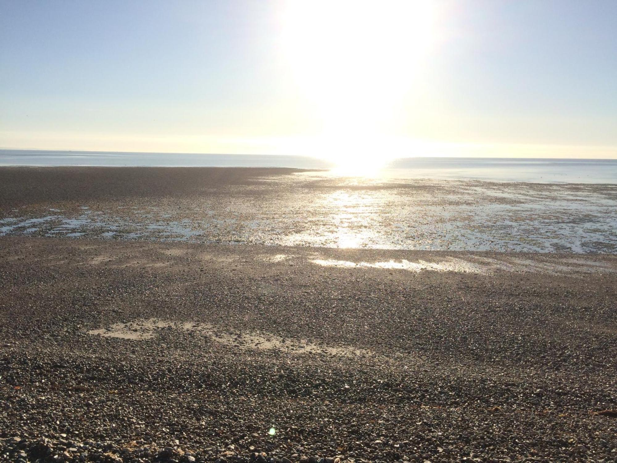 Stay At 'The Elms' In Tranquil Church Norton, Selsey - Ground Floor Bedroom, Own Private Bathroom, Quiet Beach, 2 Acre Garden By The Sea, On Edge Of Wildlife Nature Reserve Exterior foto